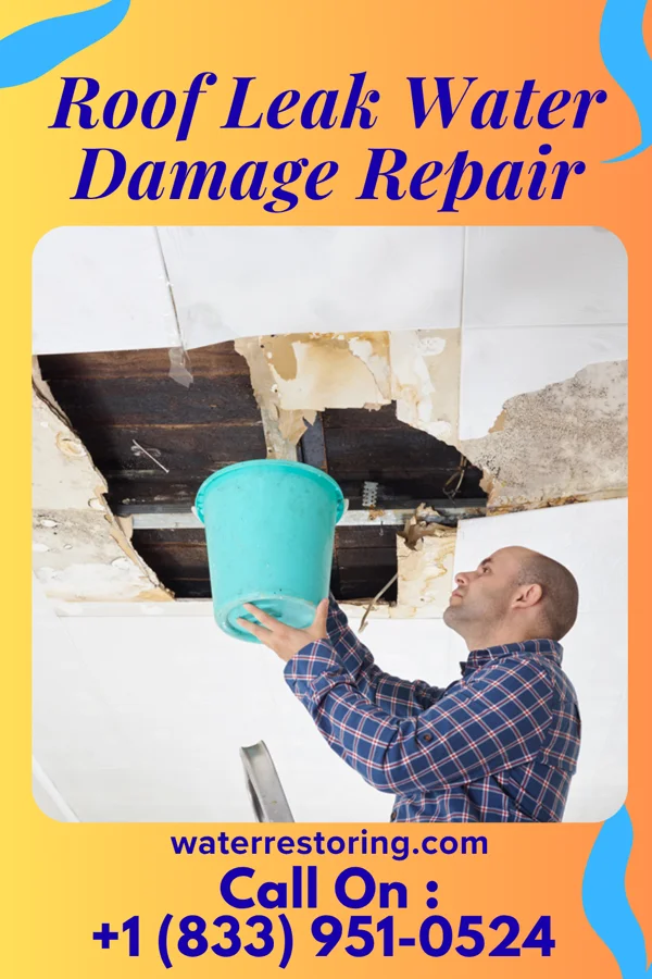 Roof Leak Water Damage Repair in Flaming Gorge, UT